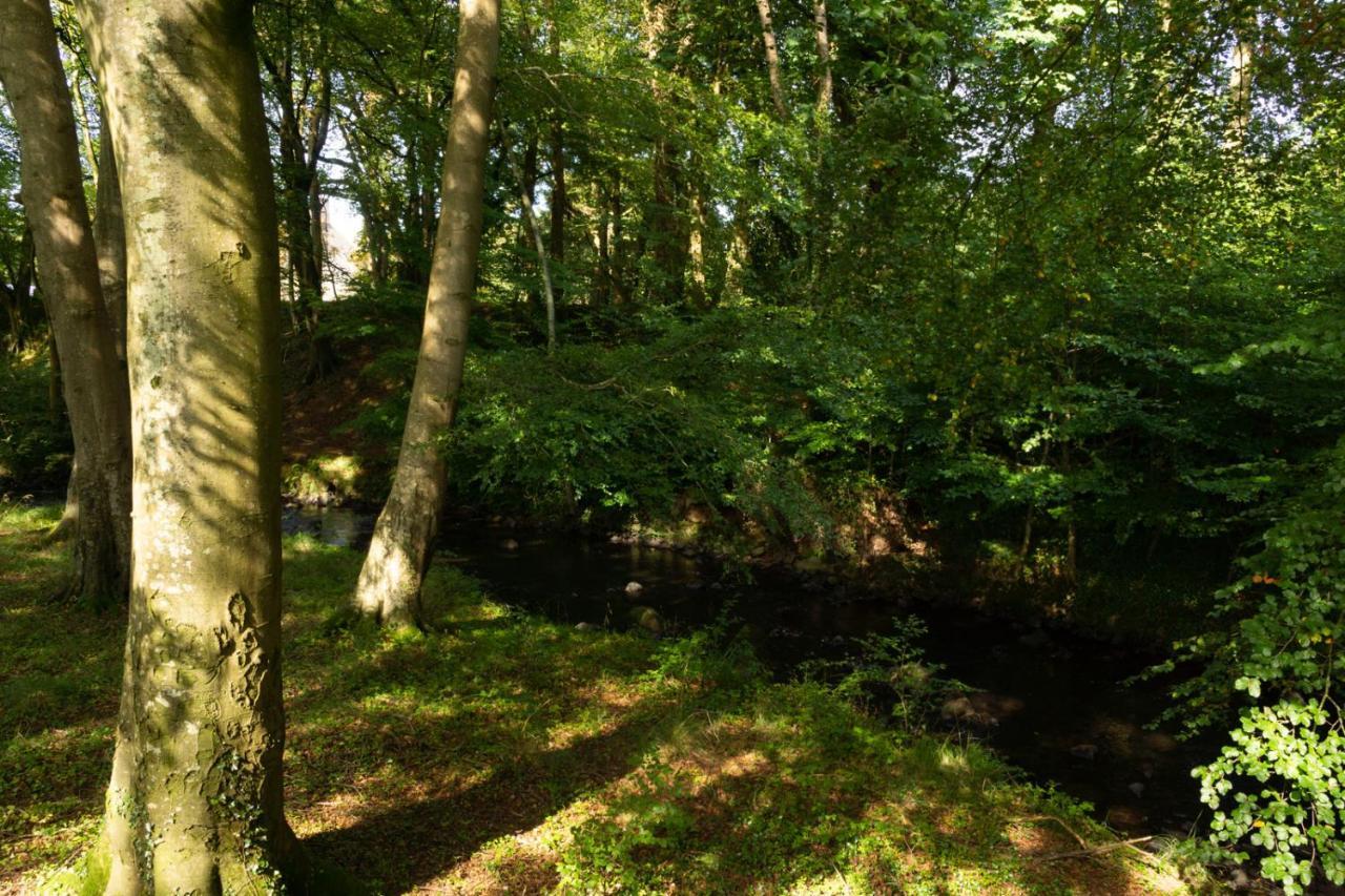 Millbrae Lodges Belfast Exteriér fotografie